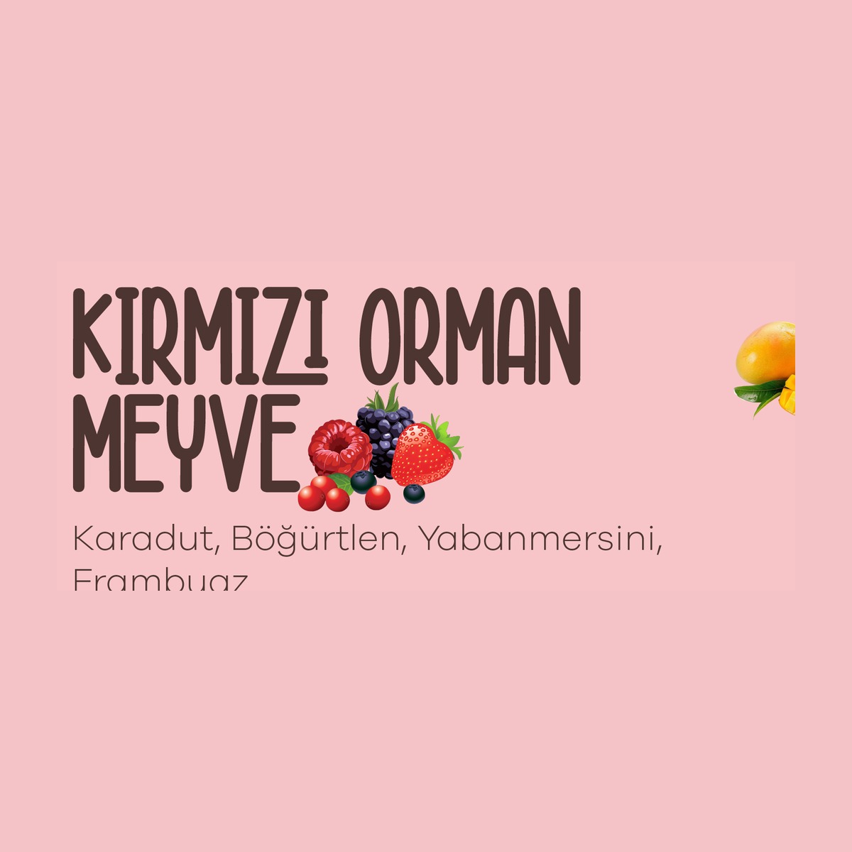 Kırmızı Orman Meyve